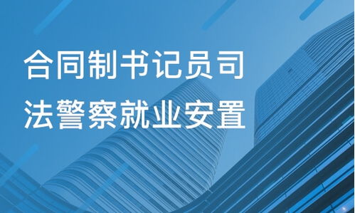 山東金柘教育與淘學培訓 教育咨詢服務的真實體驗與深度解析