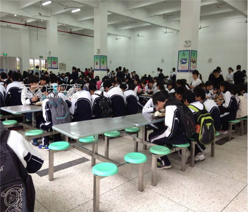 智慧餐飲服務與教育咨詢 一站式解決方案，助力企業發展